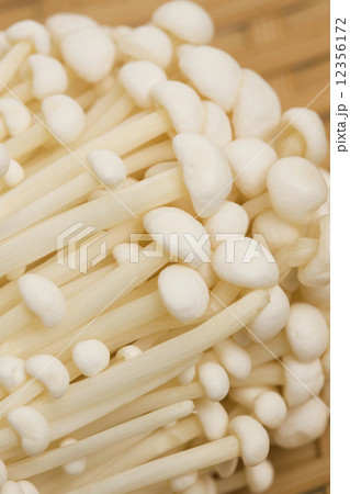 エノキダケ エノキダケ 12356172