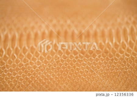 ヘビ皮 12356336