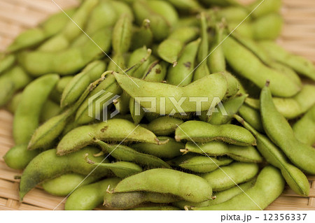 だだちゃ豆 12356337