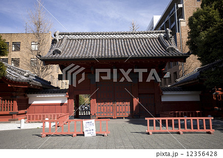 東大赤門 12356428