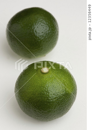 シークヮーサー シークヮーサー 12356449