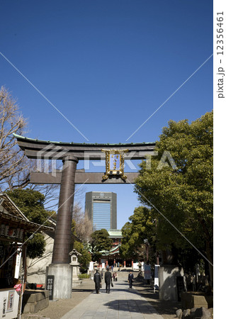 富岡八幡宮 12356461