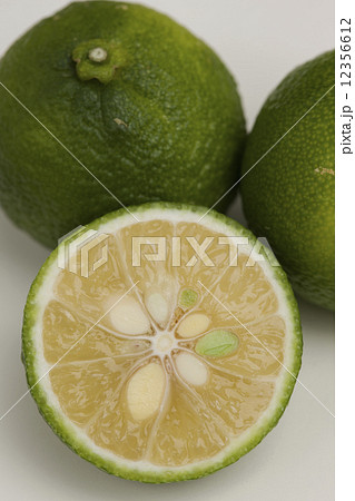 花柚子 花柚子 12356612