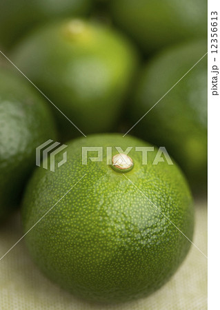 シークヮーサー シークヮーサー 12356613