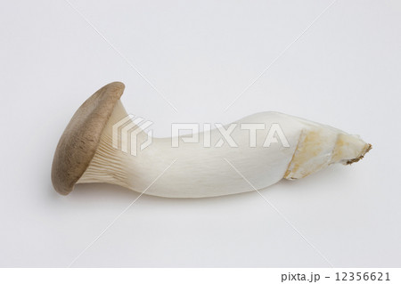 エリンギ エリンギ 12356621