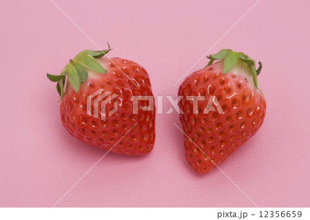 イチゴ イチゴ 12356659