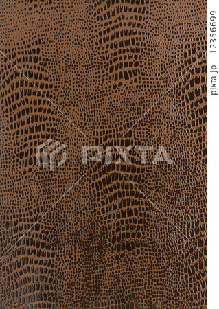 漆紙 漆紙 12356699