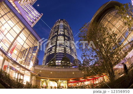 六本木ヒルズ 12356950
