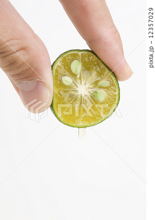 シークヮーサー 12357029