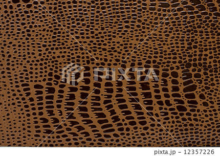 漆紙 漆紙 12357226