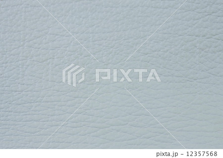 サメの皮 12357568