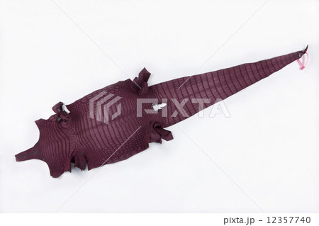 ワニの皮 ワニの皮 12357740