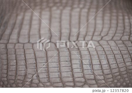 ワニの皮 12357820