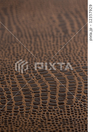 漆紙 漆紙 12357929