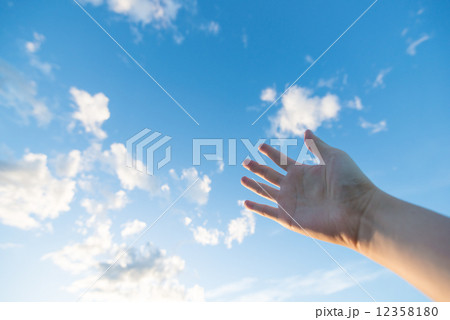空と手 12358180