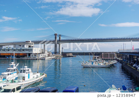 小田原市 小田原漁港 小田原市 小田原漁港 12358947