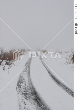 冬の印象 12359315