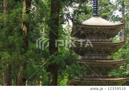 羽黒山五重塔 12359510