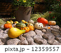 ハロウィンのカボチャ 12359557
