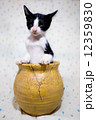 壺猫① 12359830