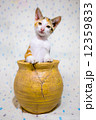 壺猫④ 12359833