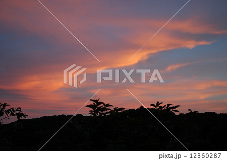 秋の夕焼け 12360287