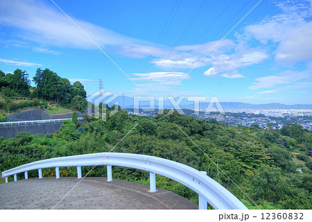 小田原市　早川石橋地区基幹農道からの風景　農道と眼下に見えるミカン畑と遠くの町並み 12360832