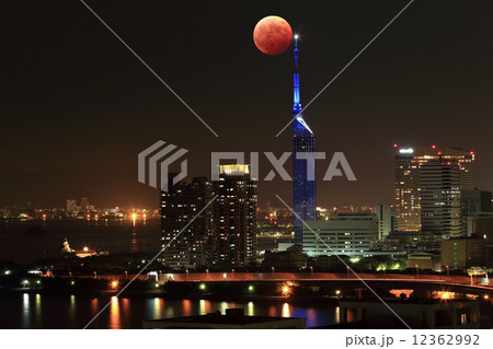 皆既月食と福岡タワー 皆既月食と福岡タワー 12362992
