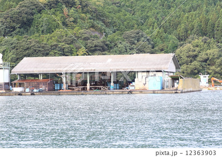 田井漁港周辺 12363903