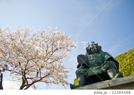 春の武田信玄公像 春の武田信玄公像 12364398