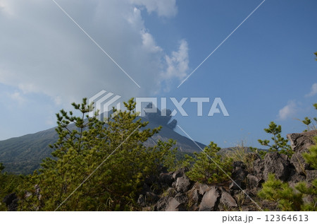 桜島　噴火 12364613