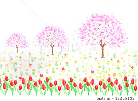 春 桜 ソメイヨシノ チューリップ 四月 桜並木 花畑 野の花 野花 桃色 かわいい 水彩 赤 のイラスト素材