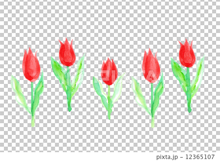 逗人喜愛的手寫水彩白色backcut標示用鬱金香春天花植物排行了綠色綠色充分的開花花園春天花花床4月自然 12365107