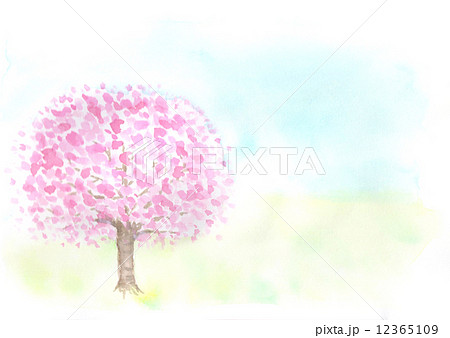 春 桜 ソメイヨシノ 四月 桃色 かわいい 水彩 屋外 空 コピースペース 満開 見ごろ 花見 のイラスト素材