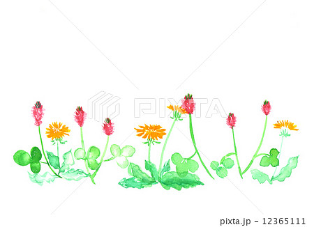 ベスト50 雑草 イラスト かわいい 美しい花の画像