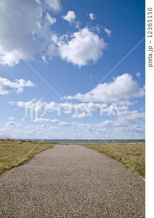 To the beach 12365150