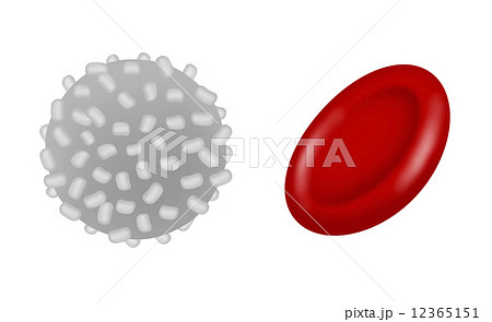 白血球と赤血球のイラスト素材 [12365151] - PIXTA