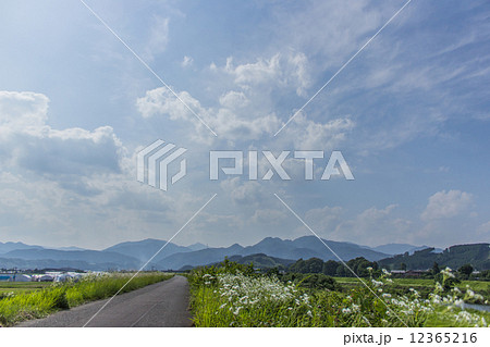綾北川サイクリングロード横の土手 綾北川サイクリングロード横の土手 12365216