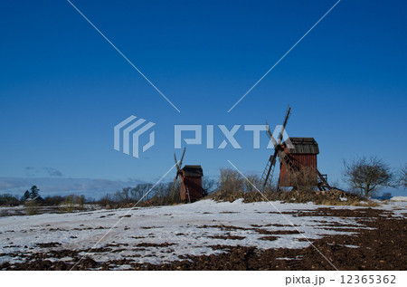 Early springtime Early springtime 12365362