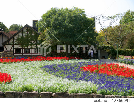 岡山農業公園ドイツの森園内風景 岡山農業公園ドイツの森園内風景 12366099