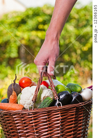 vegetable vegetable 12366165