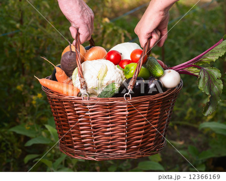 vegetables vegetables 12366169