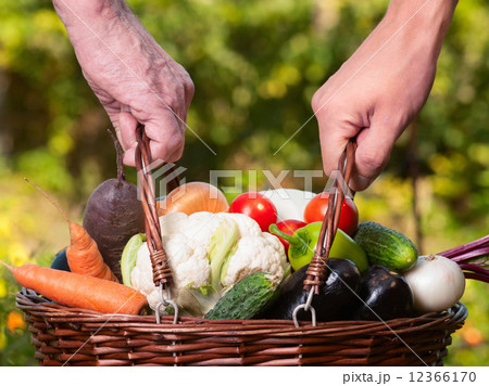 vegetable vegetable 12366170