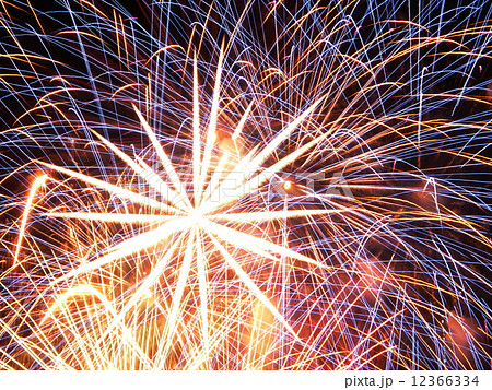 大輪の花火 12366334