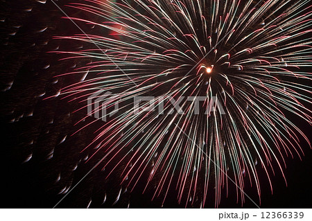 大輪の花火 12366339