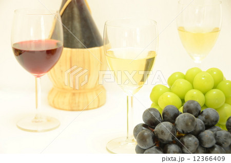 ワインとブドウ ワインとブドウ 12366409