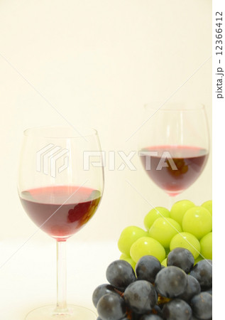 ワインとブドウ ワインとブドウ 12366412