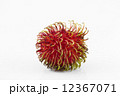 Rambutan 12367071