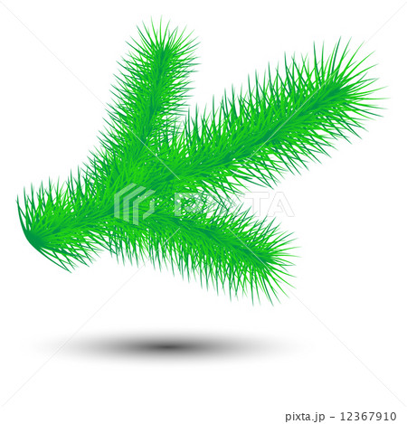 vector christmas green conifer twig isolated 12367910
