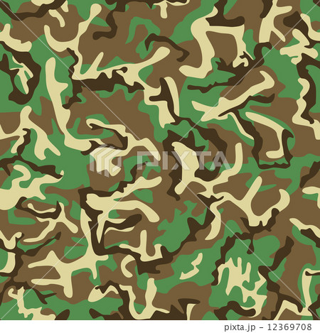 Seamless green, yellow and brown camouflage pattern. 12369708
